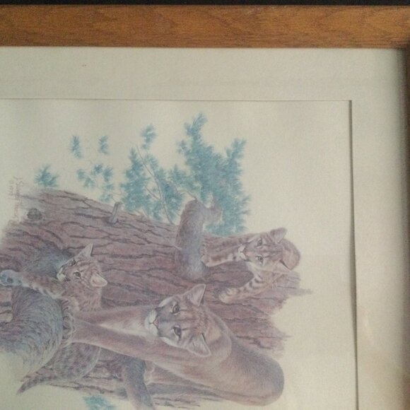 Vintage J Sharkey Thomas 1979 art print tiger and cubs in solid wooden frame - Picture 6 of 9